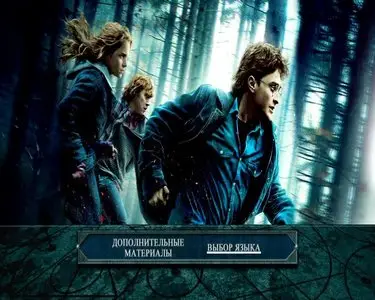 Harry Potter and the Deathly Hallows: Part 1 / Гарри Поттер и Дары смерти: Часть 1. 2-х диск. спец. издание (2010)