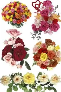 Roses: Bouquets and flower arrangements - Photo stock part 1