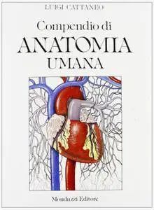 Luigi Cattaneo, "Compendio di Anatomia Umana"