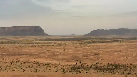 National Geographic: Great Migrations [6 series] /  National Geographic: Великие миграции [6 серий] (2010) [Repost]