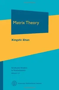 Matrix Theory
