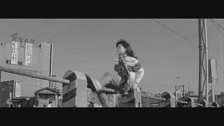 Seijun Suzuki: Take aim at the police van (1960) 