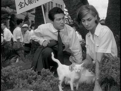 Hiroshima Mon Amour (1959) - (The Criterion Collection - #196) [DVD9] [2003]