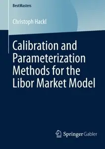 Calibration and Parameterization Methods for the Libor Market Model