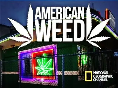 NG American Weed - Marijuana Drama (2012)