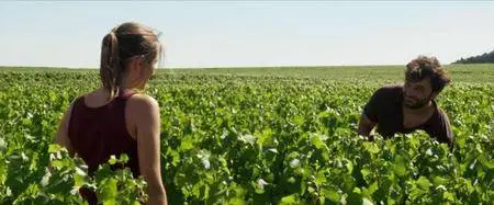 Ce qui nous lie (2017)