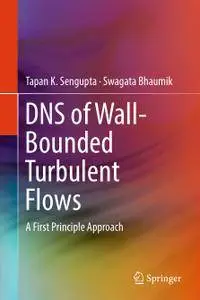 DNS of Wall-Bounded Turbulent Flows: A First Principle Approach