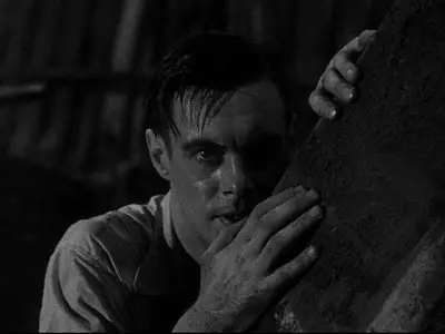 Frankenstein (1931) [75th Anniversary Edition]