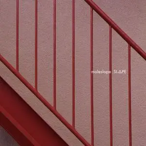 Moleslope - Slope (2019)