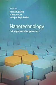 Nanotechnology: Principles and Applications