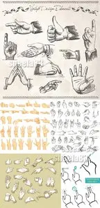 Hand Gestures Vector
