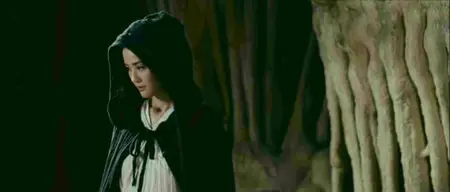 The Storm Warriors (2010)