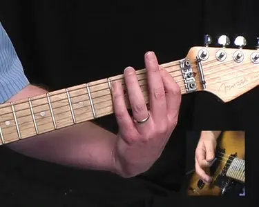 Lick Library - Learn To Play Nirvana [repost]