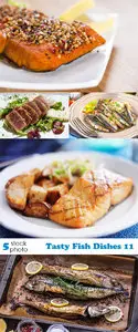 Photos - Tasty Fish Dishes 11