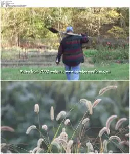 The Blueberry Farmer (2018)