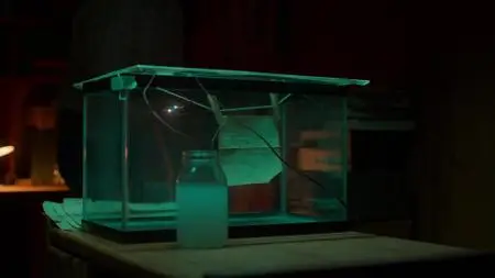 Murder Among the Mormons S01E03