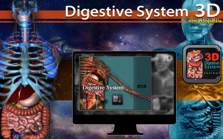3D Digestive System 1.0
