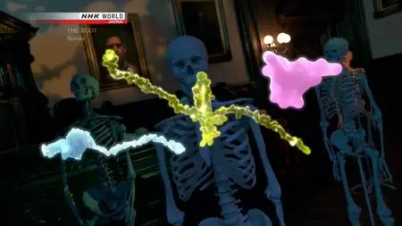 NHK - THE BODY: Bones - Fountain of Youth and Power (2018)