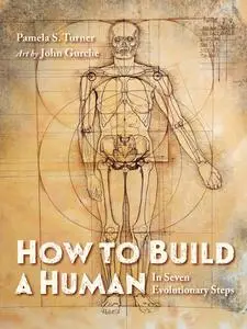 How to Build a Human: In Seven Evolutionary Steps