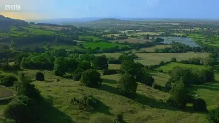 BBC - Walking With... Series 1 (2021)