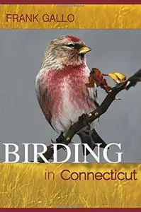 Birding in Connecticut