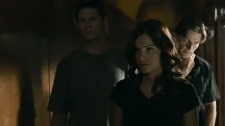 Train (2008)