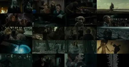 Harry Potter and the Deathly Hallows: Part 1 (2010) + Extras