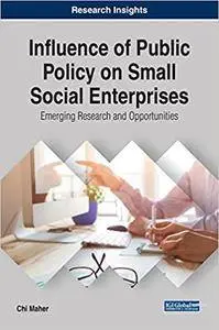 Influence of Public Policy on Small Social Enterprises