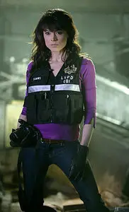 CSI Crime Scene Investigation S10E23