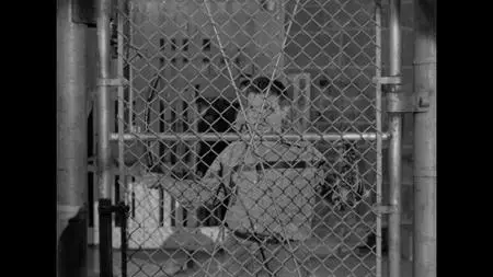 Riot in Cell Block 11 (1954)