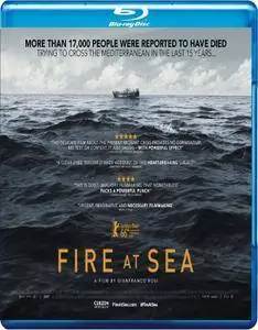 Fire at Sea (2016)