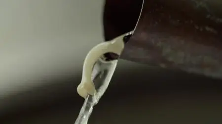 Moonshiners: Master Distiller S02E05 S02E10