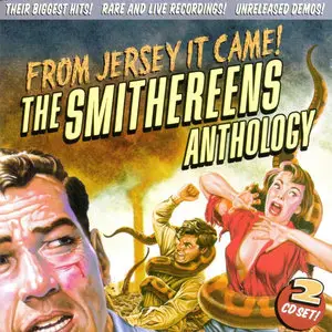 The Smithereens - From Jersey It Came! The Smithereens Anthology (2004)