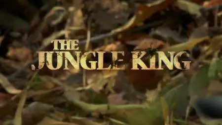 National Geographic - Destination Wild: The Jungle King (2016)
