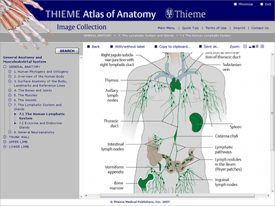 THIEME Atlas of Anatomy Image Collection - General Anatomy and Musculoskeletal System 