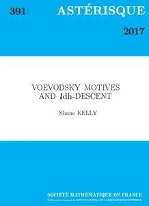 Voevodsky Motives and ldh-descent
