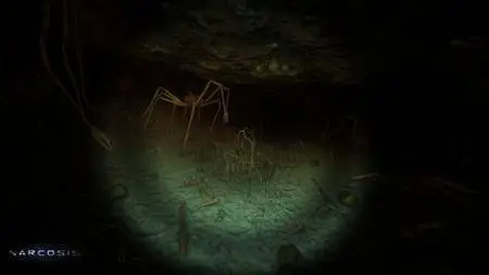 Narcosis (2017)