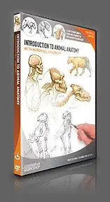 The GNOMON Workshop - Introduction to Animal Anatomy (2010)