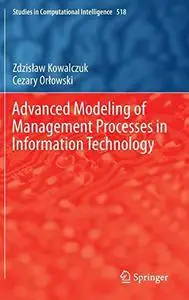 Advanced Modeling of Management Processes in Information Technology