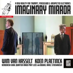 Wim Van Hasselt & Koen Plaetinck - Imaginary Mirror (2020)