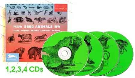 Pepin Press - 5000 Animals - All CDs