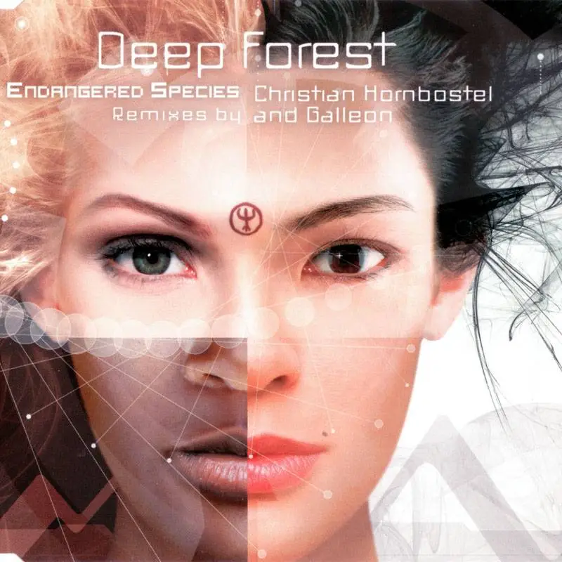 Deep forest альбомы. Группа Deep Forest. Deep Forest фото. Deep Forest 2002 - Music detected.