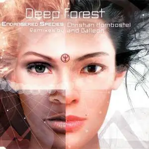 Deep Forest & Projects: Singles & Remixes Part 03 (1997 - 2005)