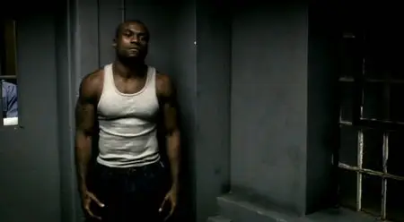 Animal 2 (2008)