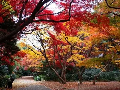 World In Photo 220