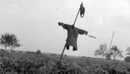 (Arte) 1937 - Un été en Allemagne nazie (2012)