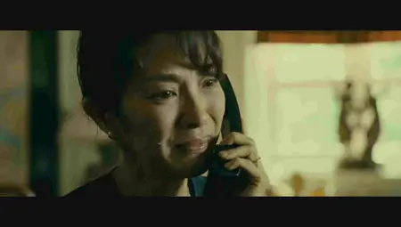 The Lady (2011)