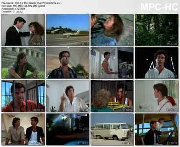 Remington Steele - Complete Season 5 (1986)