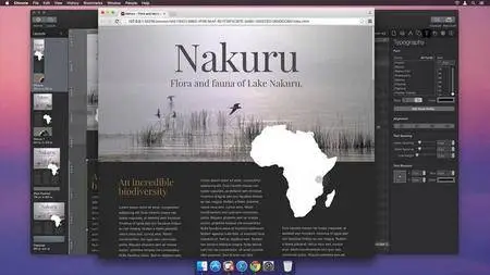 Tumult Hype Professional 3.5.5 Multilingual MacOSX