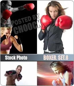Boxer. Set.8 - Stock Photo
